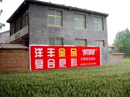 获嘉如何让墙体广告展现最大化效果